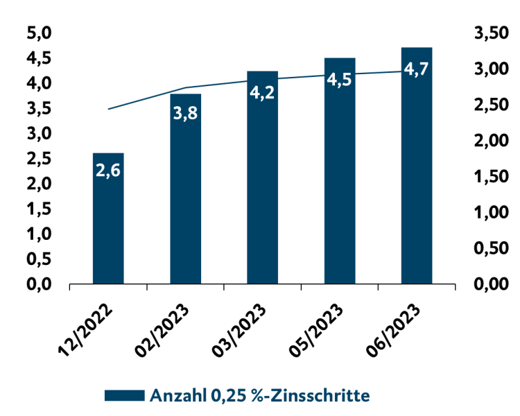 Balkendiagramm Anzahl Zinsschritte