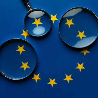 Lupen auf der Europaflagge